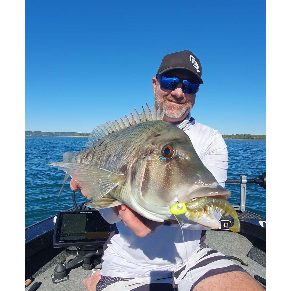 Rapala CrushCity Imposter Soft Plastic Lure 3in Neon Yabbie, Neon Yabbie, bcf_hi-res