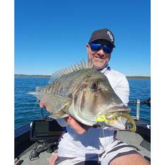 Rapala CrushCity Imposter Soft Plastic Lure 3in Neon Yabbie, Neon Yabbie, bcf_hi-res