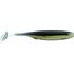 Golden Shiner