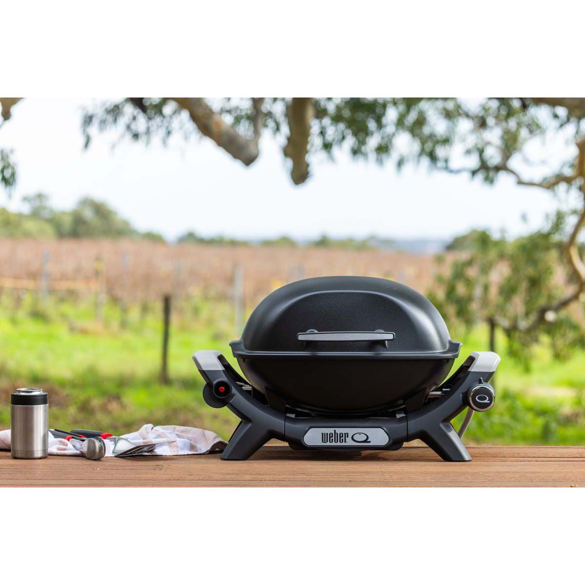 Weber Baby Q Q1000N Midnight Black Starter Set