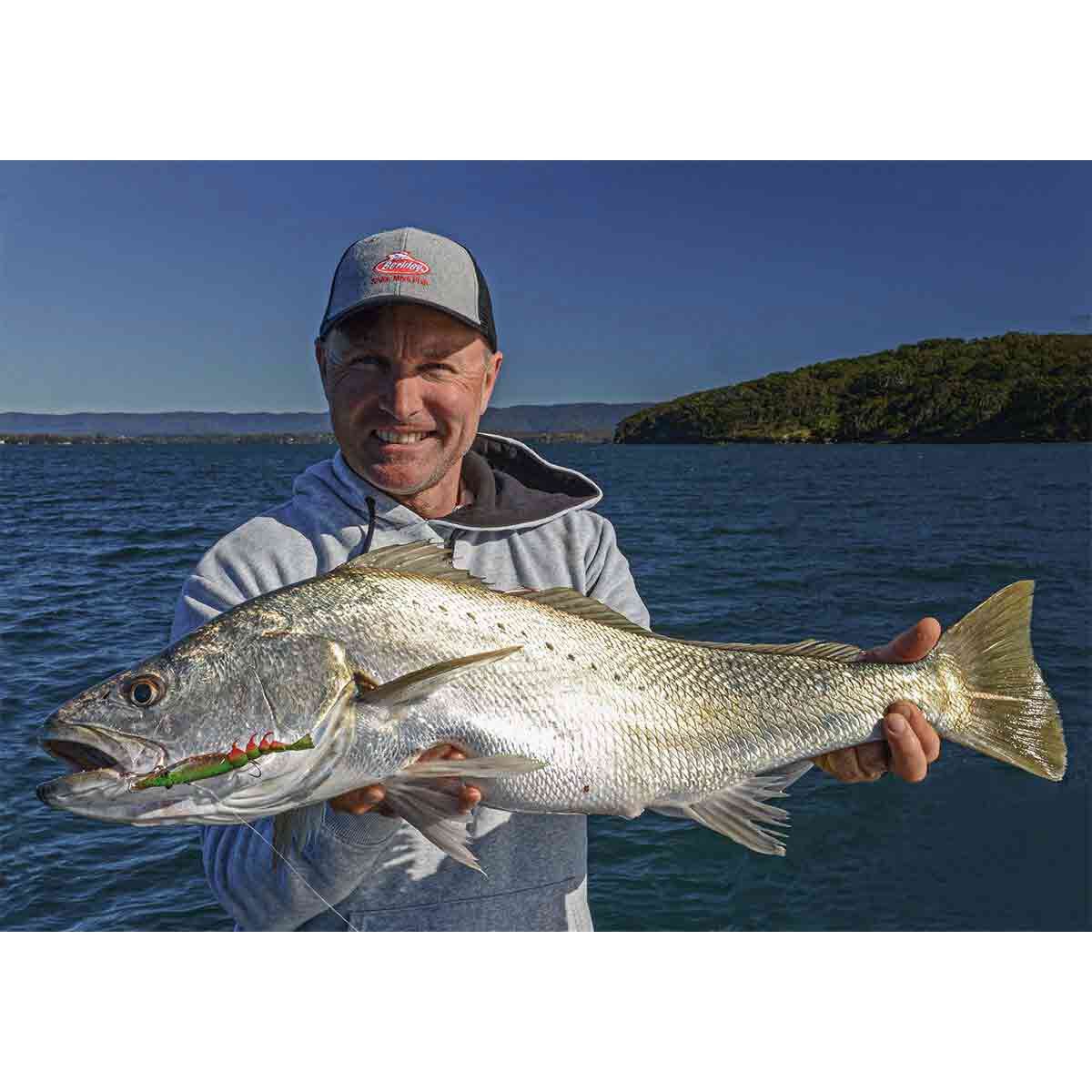 Berkley Shimma Shrimp Soft Vibe Lure 65mm Orange Belly Shrimp, Orange Belly Shrimp, bcf_hi-res