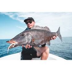 Daiwa Bait Junkie Finesse 0X Jig Heads, , bcf_hi-res