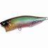 Ghost Minnow