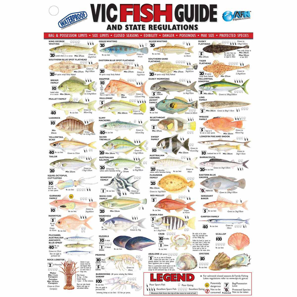 AFN Fish ID VIC Maps/Guides, , bcf_hi-res
