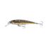 Spotted Herring