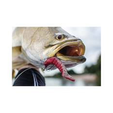 Berkley Gulp! Shrimp Soft Plastic Lure 4in Pink Belly Shrimp, Pink Belly Shrimp, bcf_hi-res