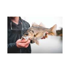 Daiwa Bait Junkie Finesse 0X Jig Heads, , bcf_hi-res