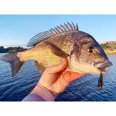 TT Fishing Switchblade Plus Blade Lure 56mm Wagasaki Minnow, Wagasaki Minnow, bcf_hi-res