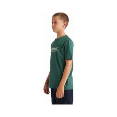 Quiksilver Youth Retro Box Short Sleeve Tee, Trecking Green, bcf_hi-res