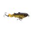 Gold Shiner
