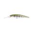 Rainbow Trout