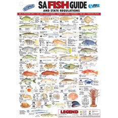 AFN Fish ID SA Books, , bcf_hi-res