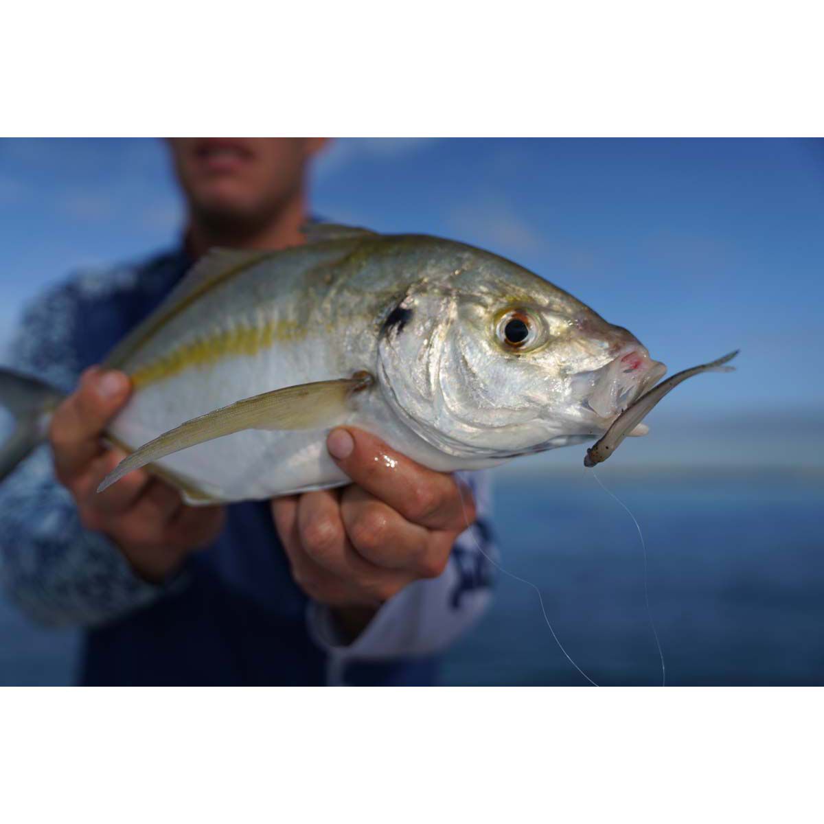 Pro Lure Prey Minnow Soft Plastic Lure 160mm Candy, Candy, bcf_hi-res