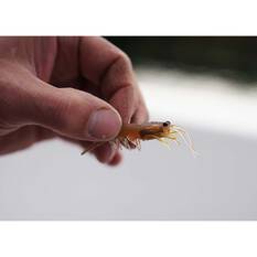 Pro Lure Clone Prawn Soft Plastic Lure 62mm Crystal Pink UV, Crystal Pink UV, bcf_hi-res