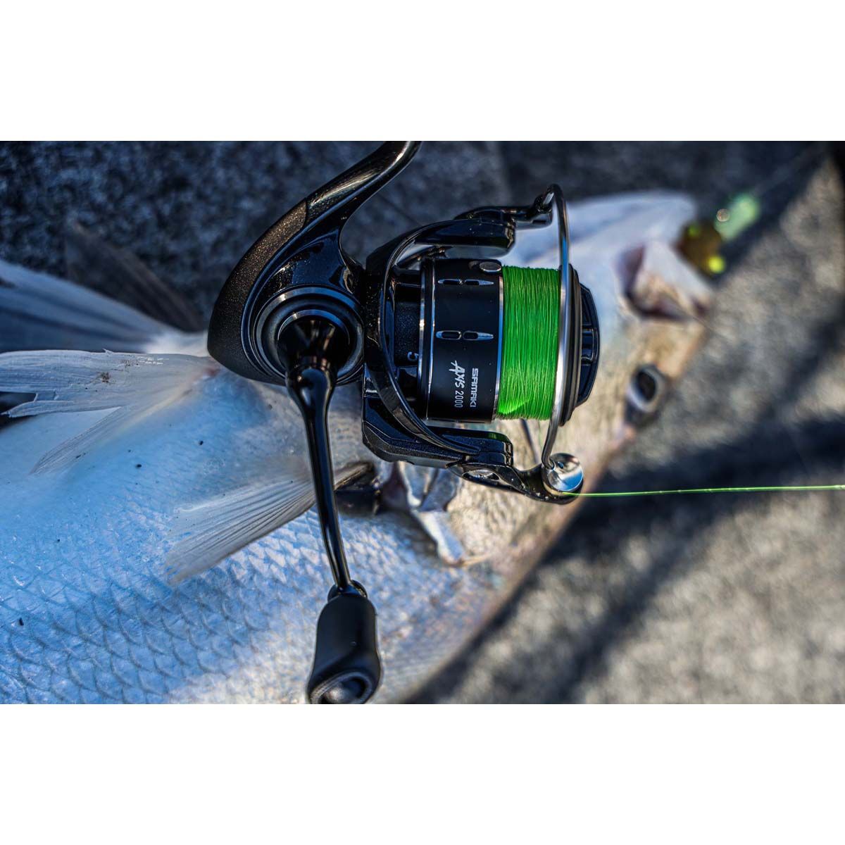 Samaki Axis 3000 Spinning Reel, , bcf_hi-res