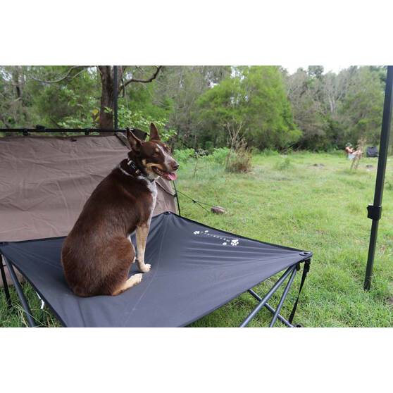 Wanderer Pets Large Quad Fold Dog Bed, , bcf_hi-res