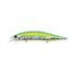 Citrus Shiner