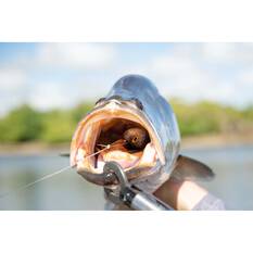 Berkley Shimma Pro-Rig Soft Plastic Lure 5.5in Dirty Peach, Dirty Peach, bcf_hi-res