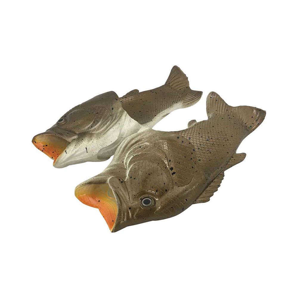 Flathead Fish Feet | BCF