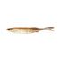 Arkansas Shiner