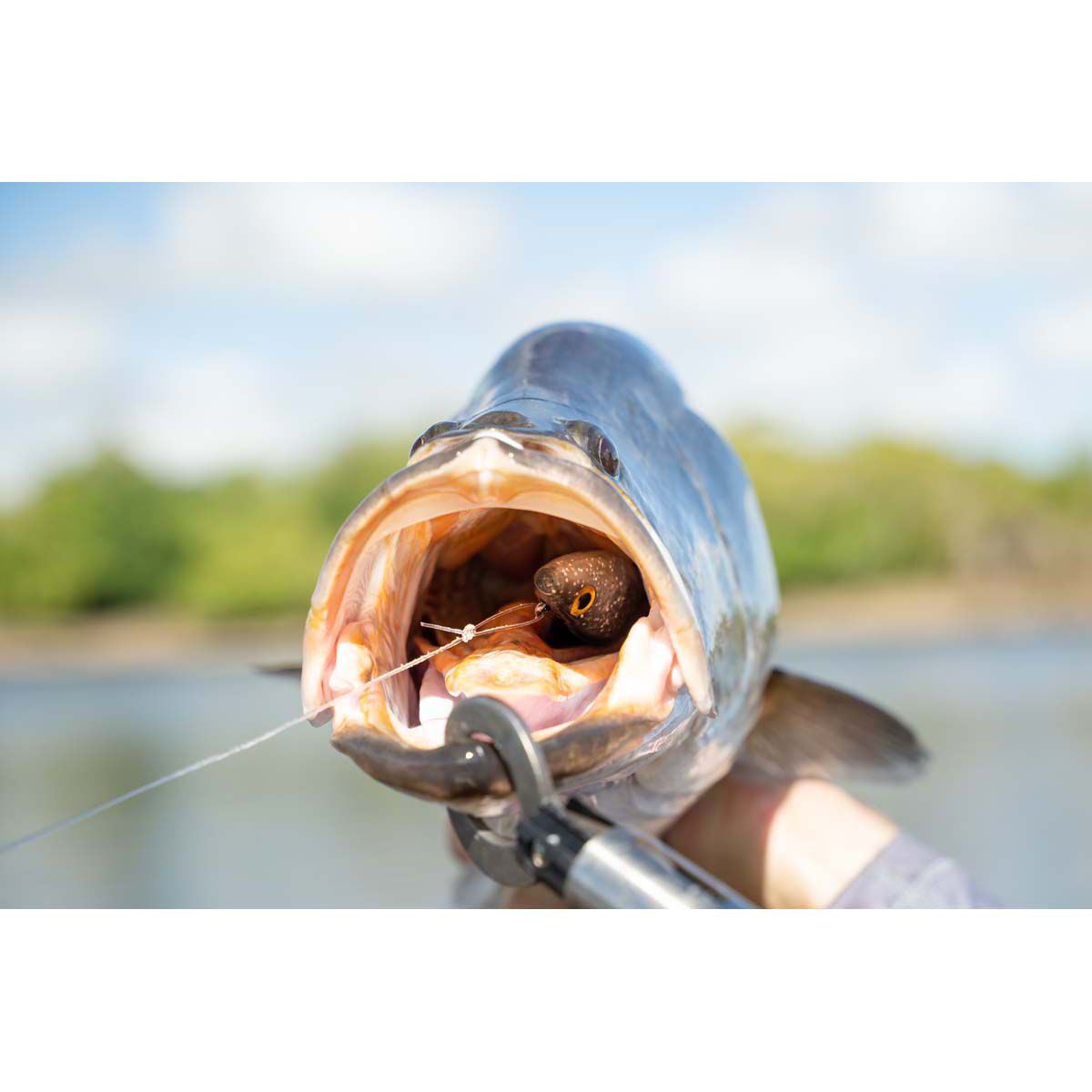 Berkley Shimma Pro-Rig Soft Plastic Lure 4.5in Silver Ghost, Silver Ghost, bcf_hi-res