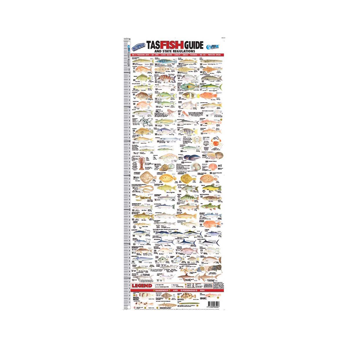 AFN Tasmania Fish ID Ruler, , bcf_hi-res