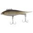 Brown Back Shad