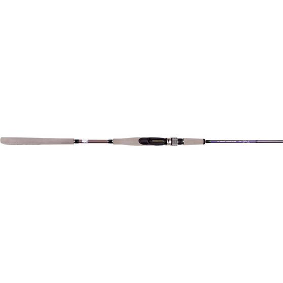 NS Black Hole Explorer Spinning Rod, , bcf_hi-res