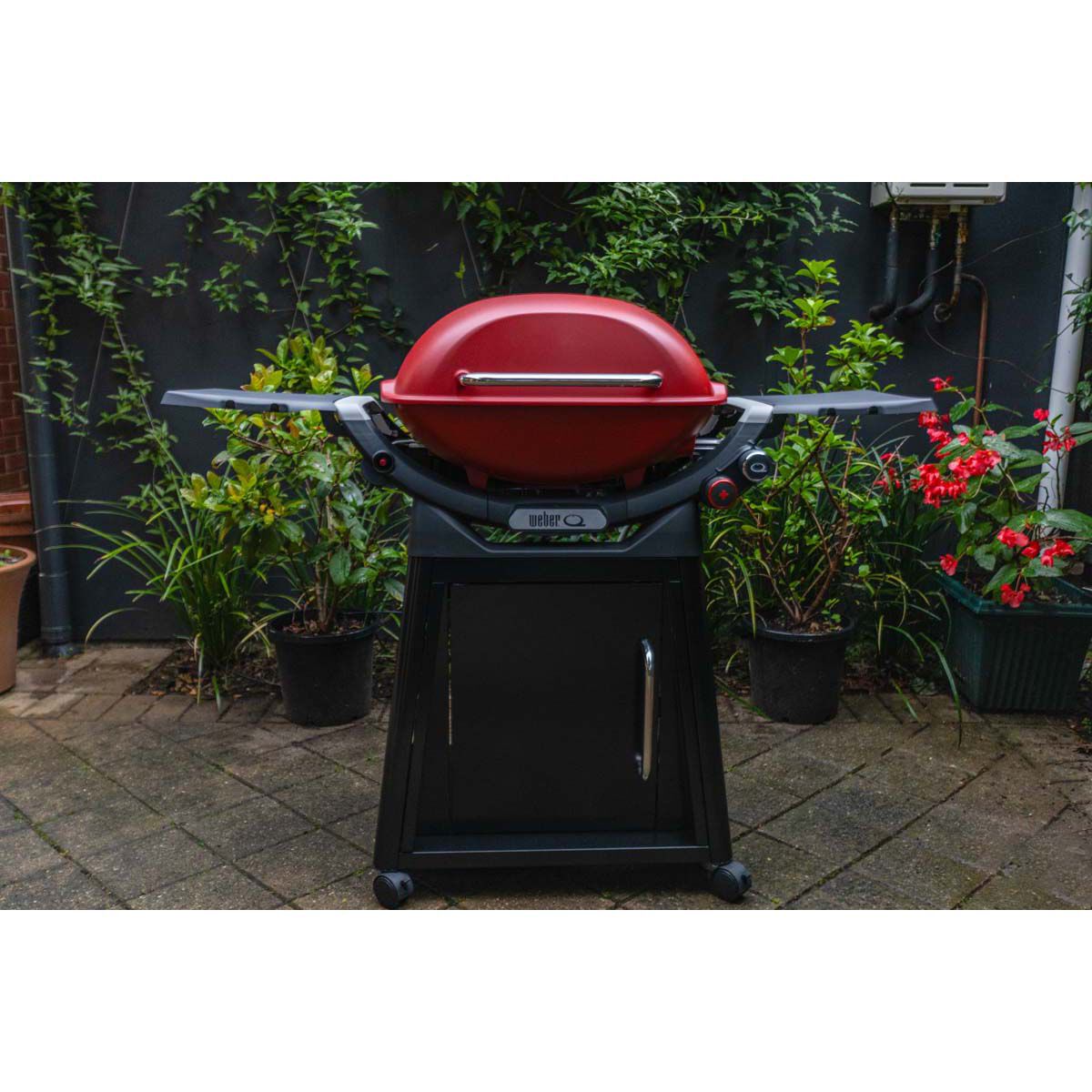 Bcf weber cheap q