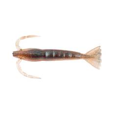 Berkley PowerBait Shrimp Soft Plastic Lure 3in Bloodworm, Bloodworm, bcf_hi-res