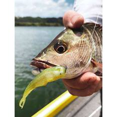 Rapala CrushCity Jerk Soft Plastic Lure 3.75in White Bait, White Bait, bcf_hi-res