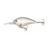 Silver Shad
