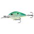 Citrus Shad