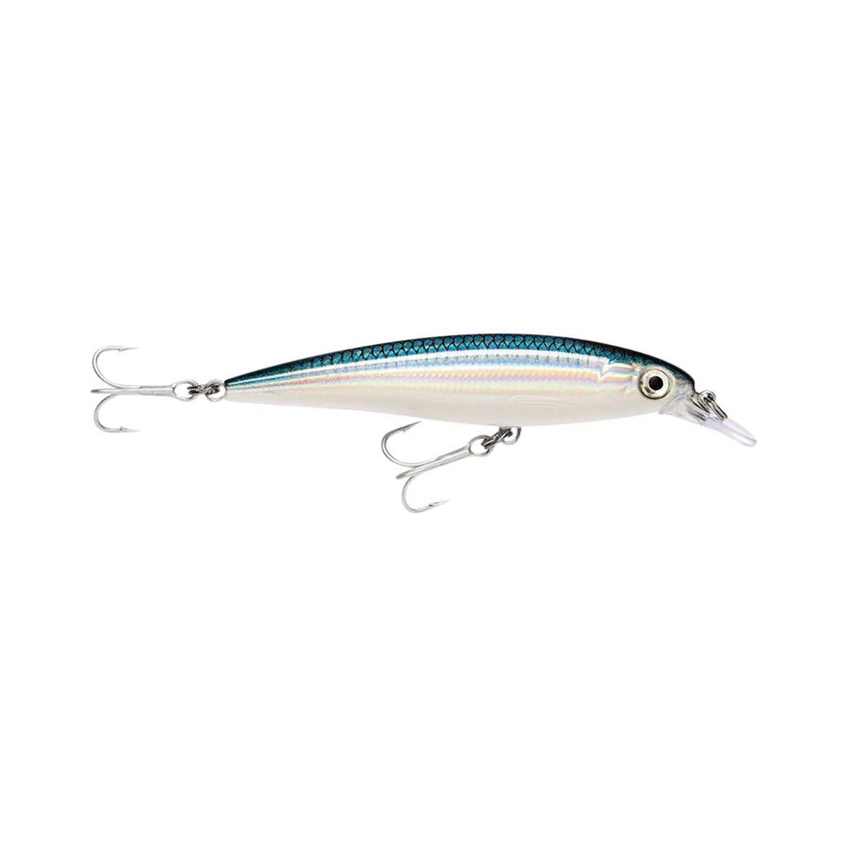 Rapala X-Rap Saltwater Hard Body Lure 10cm Baitfish, Baitfish, bcf_hi-res