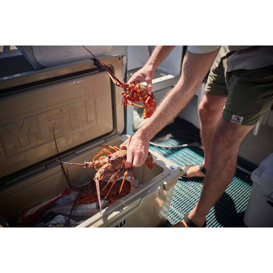 YETI® Tundra® 65 Hard Cooler Tan, Tan, bcf_hi-res