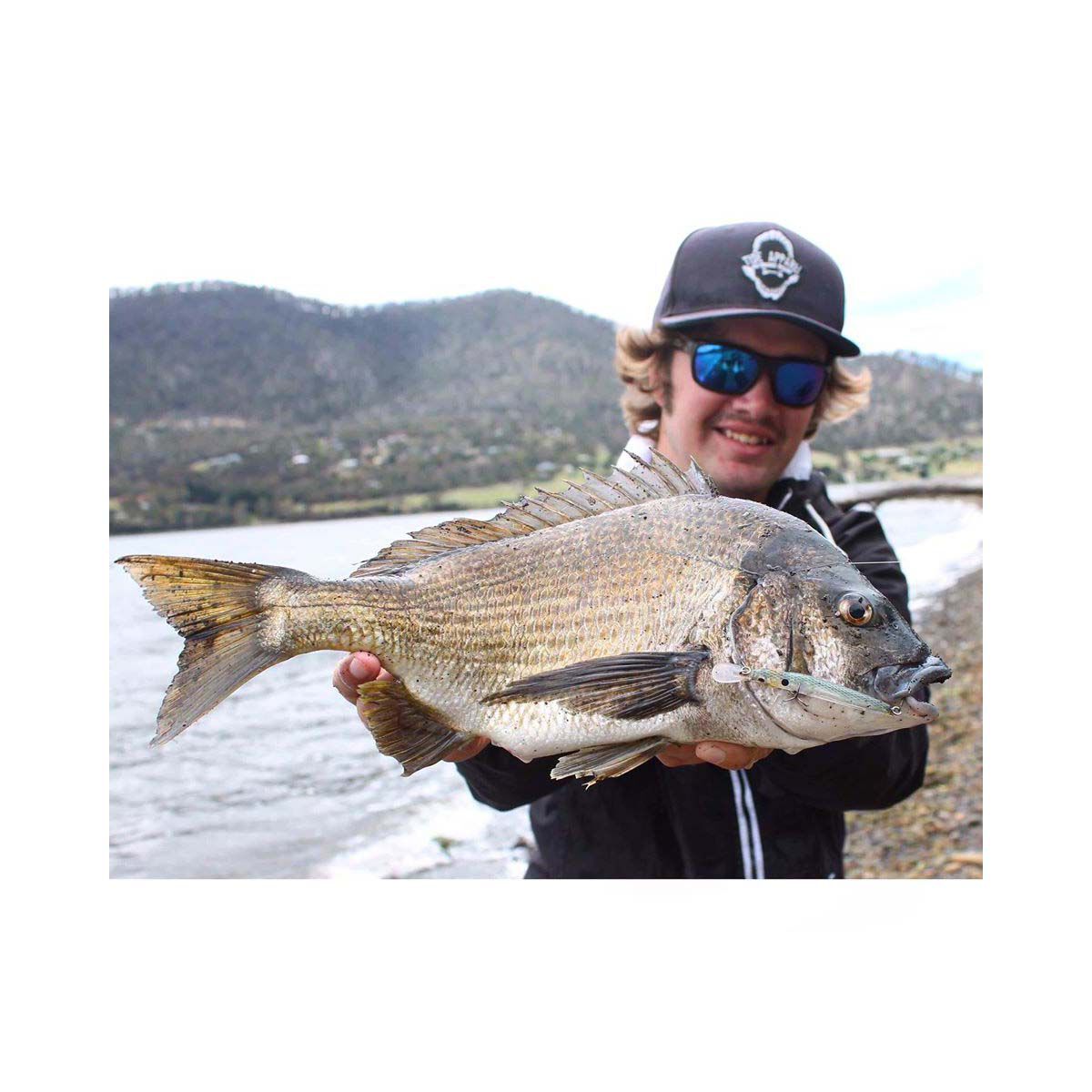 Nomad Styx Minnow Hard Body Lure 116mm Sardine, Sardine, bcf_hi-res