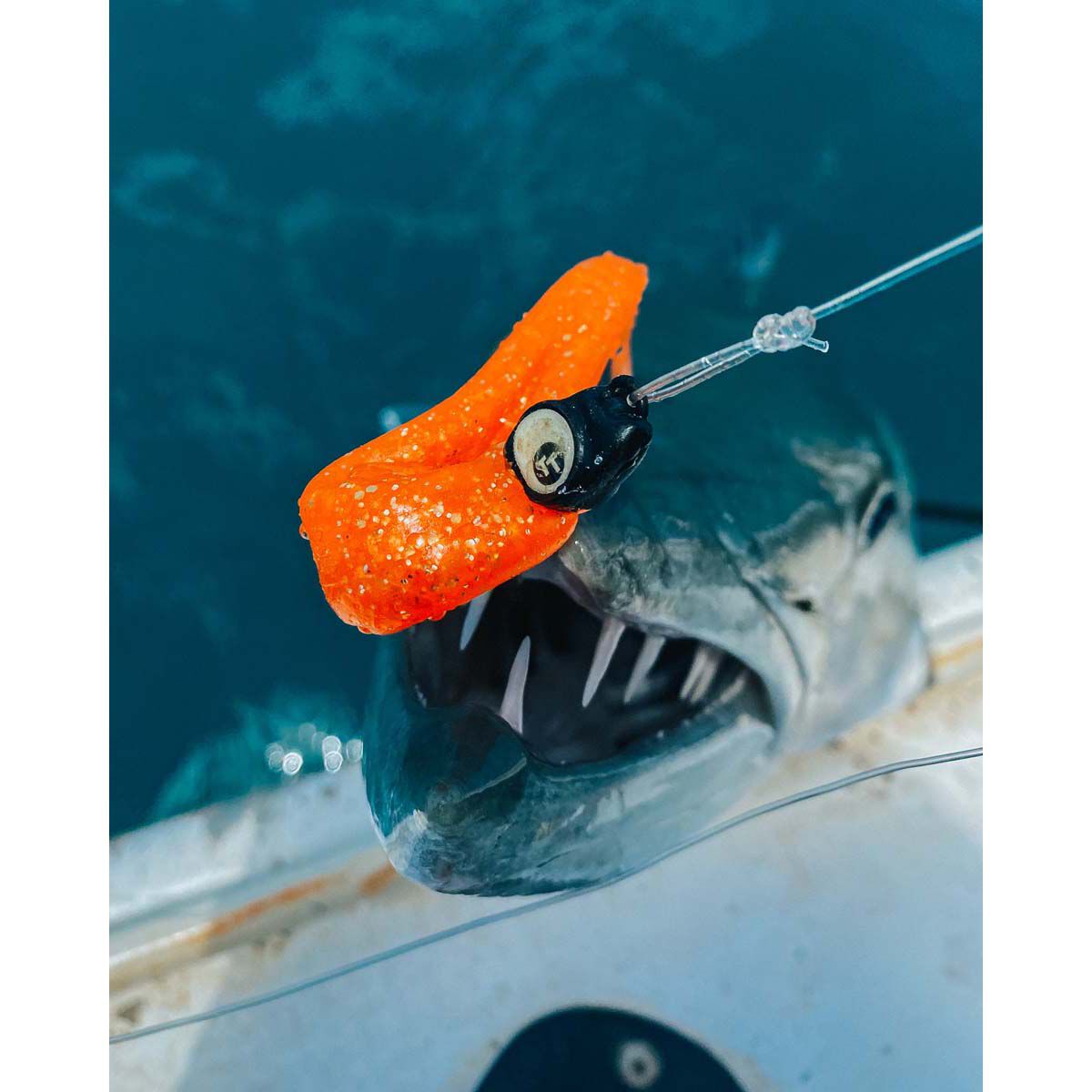 TT Fishing Snake EyeZ Jigheads Pink, , bcf_hi-res