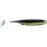 Golden Shiner
