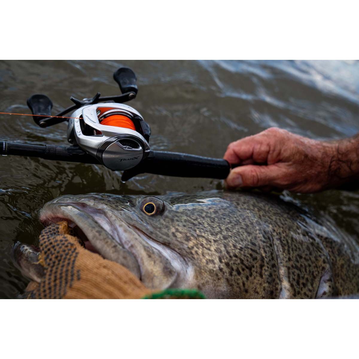 Shimano Tranx 301B Left Handed Baitcaster Reel, , bcf_hi-res