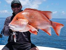 Nomad Squidtrex Jig Lure 150mm Orange Tiger, Orange Tiger, bcf_hi-res