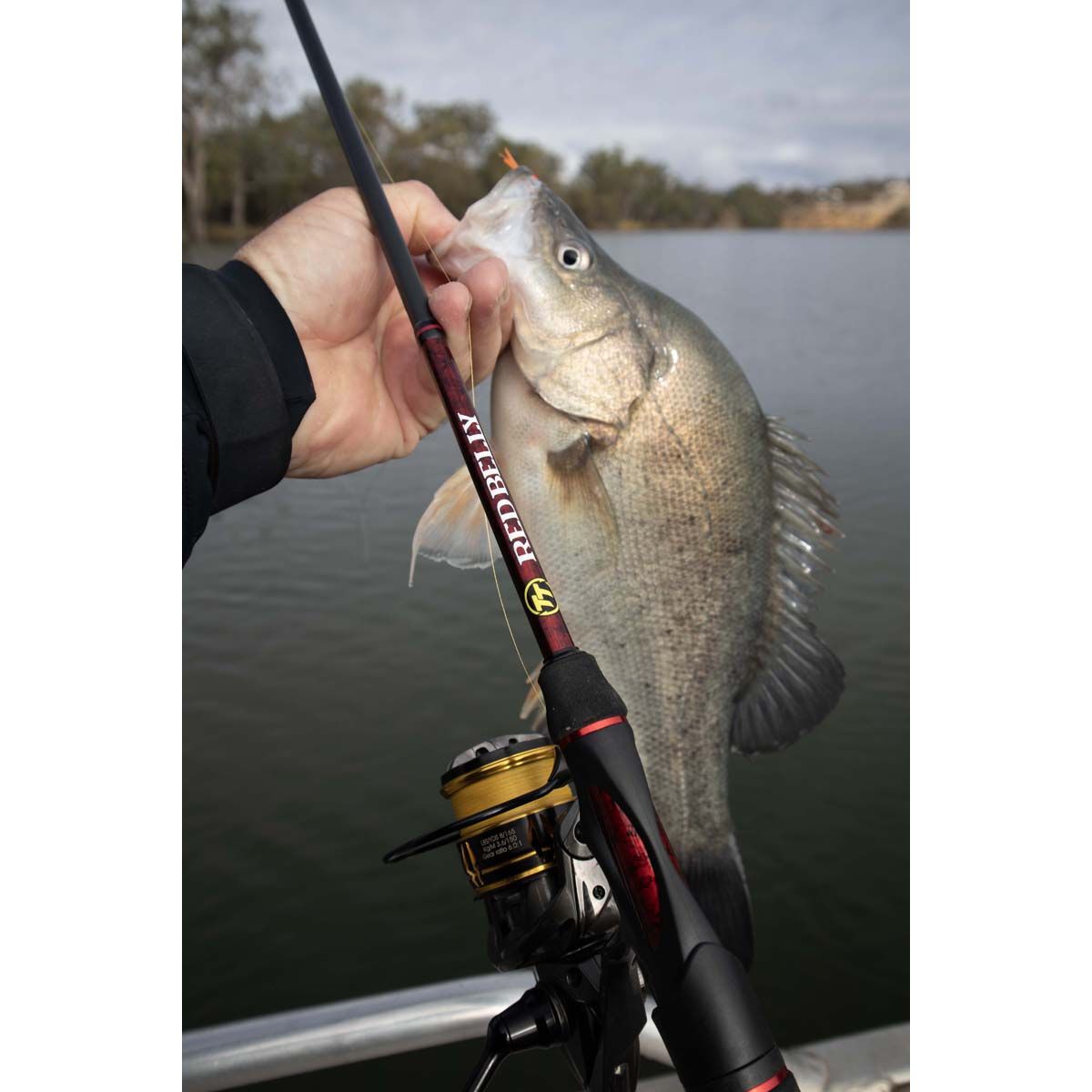 TT Fishing Red Belly Spinning Rod, , bcf_hi-res