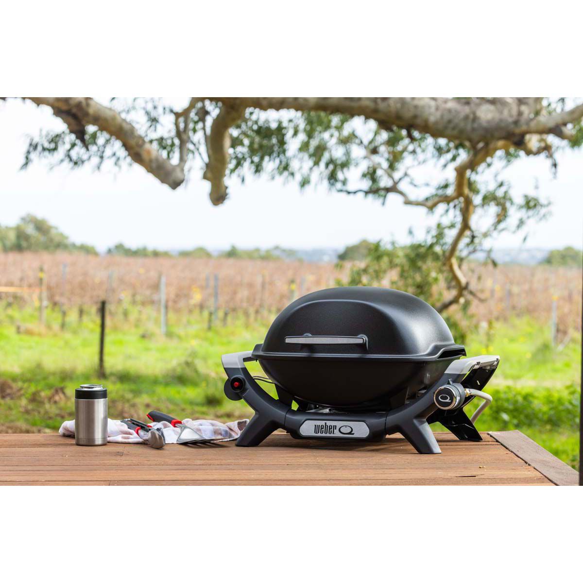 Bcf weber cheap q