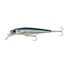 Anchovy