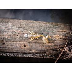 Nomad Live Ops Radiax Soft Plastic Lure 2.25in Ayu Ace, Ayu Ace, bcf_hi-res