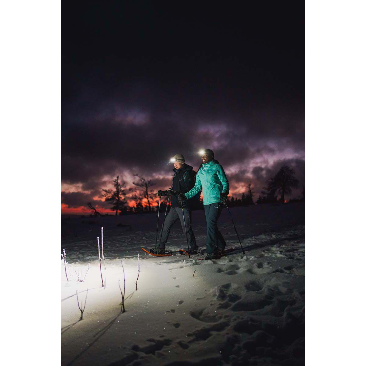 Ledlenser HF8R Signature Headlamp, , bcf_hi-res