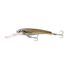 Spotted Herring