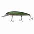 Silver Mackerel