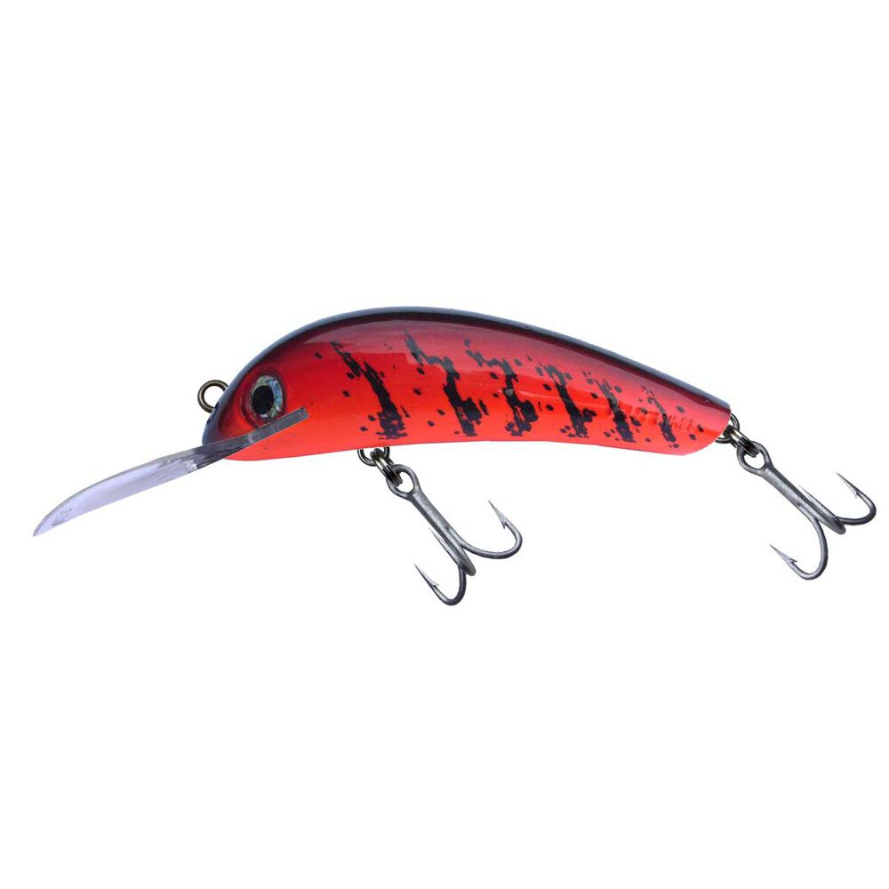 Jjs Lures Stumpjumper Hard Body Lure 55mm Hornet 55mm Bcf