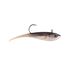 Blacknose Shiner