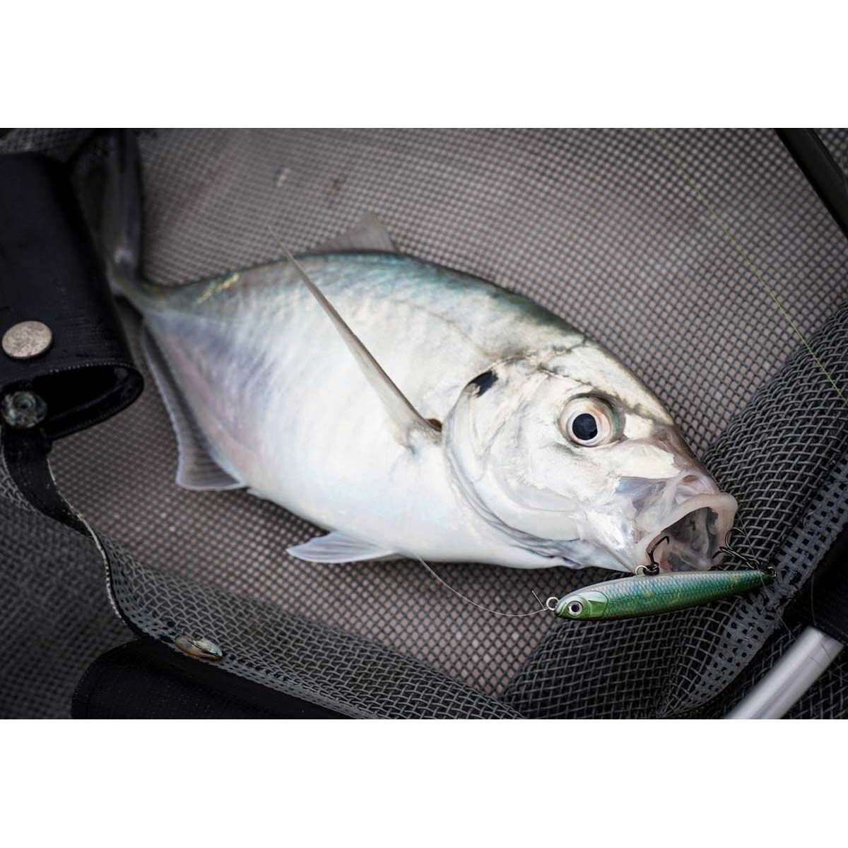 Pro Lure Pencil S Surface Lure 62mm Canary, Canary, bcf_hi-res